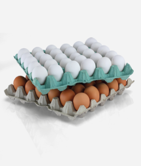 Crate of Eggs