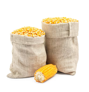 Sack of maize