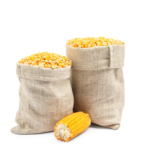 Sack of maize