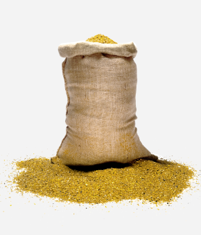 Poultry Feed