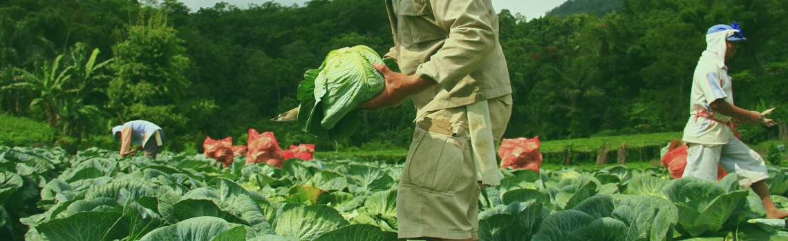 Beginner’s Guide: How to Shop for Farm Supplies Online Safely and Affordably